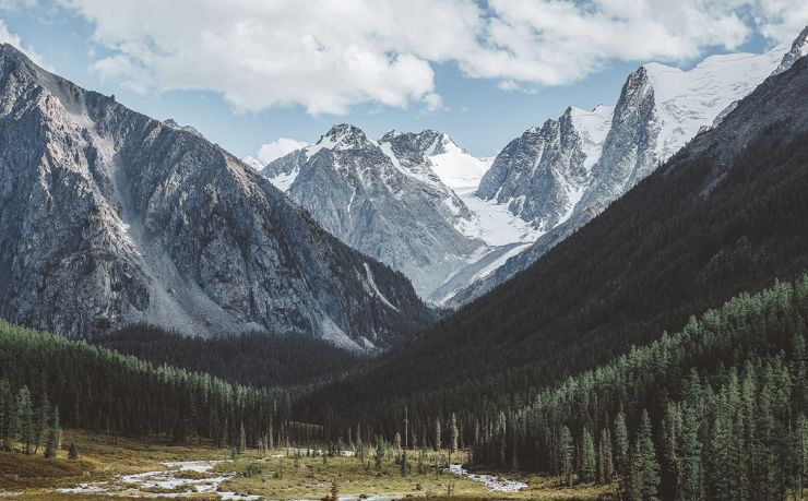 移民圣基茨和尼维斯到底要花多少？我把账单摊开给你看